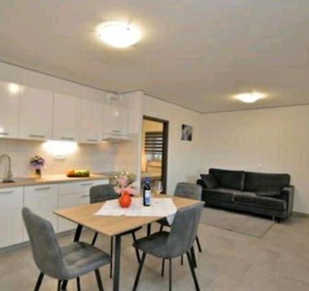 Appartamento Apartman Bregi**** Donji Rukavac Esterno foto